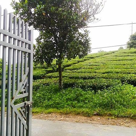 Homestay موك تشاو المظهر الخارجي الصورة