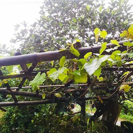 Homestay موك تشاو المظهر الخارجي الصورة