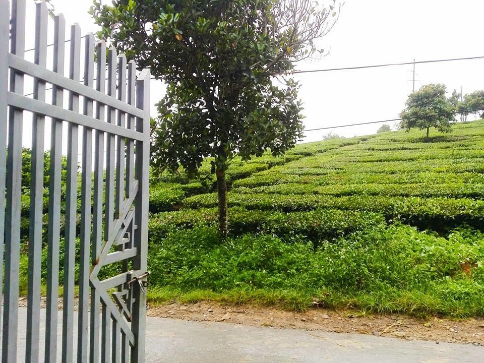 Homestay موك تشاو المظهر الخارجي الصورة