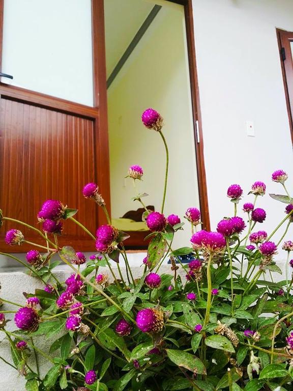 Homestay موك تشاو المظهر الخارجي الصورة